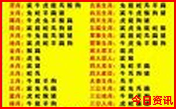 老年人去哪里旅游比较好